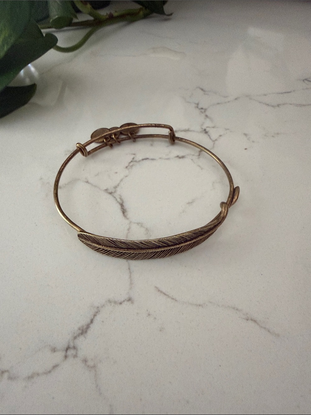 Alex and Ani Feather Wrap Bangle